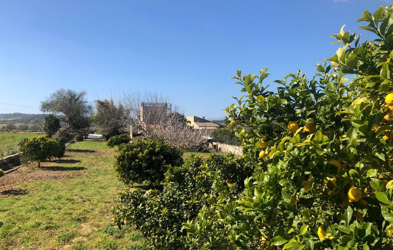 Son Roig ,Beautiful Place In The Heart Of Mallorca -Etv 9979 María de la Salud 外观 照片